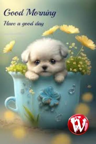 Polish_20240509_081935804