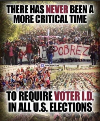 VoterID2024