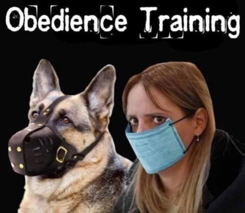 IMG_20240523_180724_936