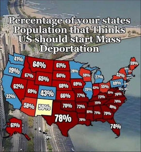 illegal immigration392