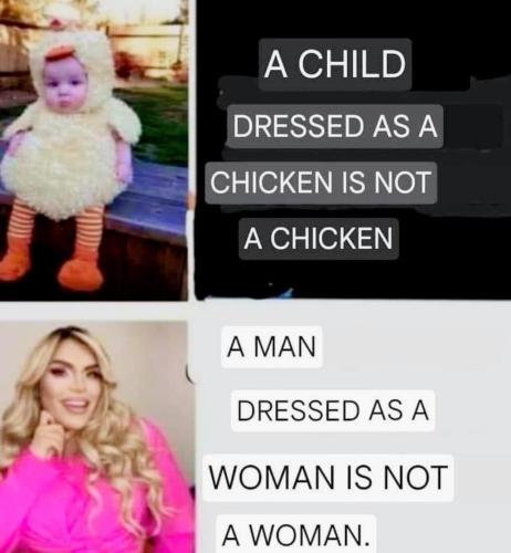 image_A763FBF9-E9CE-4DFC-8ED6-30A1DAA3D3A4