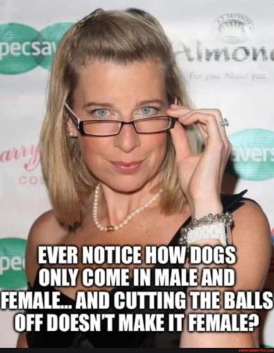 f1ad1e9df17b59faaf2a13342d014f847b4b19d0e04298ac2335aaf28d05d370_1