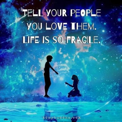 438260910_25381653114812530_3621459482208210461_n