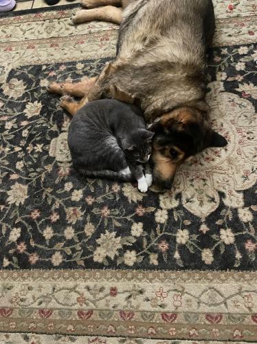 93722773-3584-403C-ADC9-C6879EABE04A