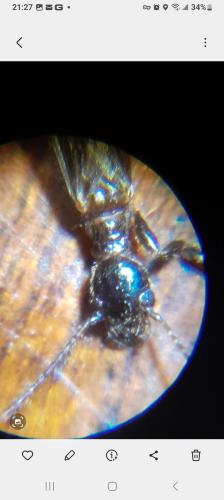 Screenshot_20240520_212728_Gallery