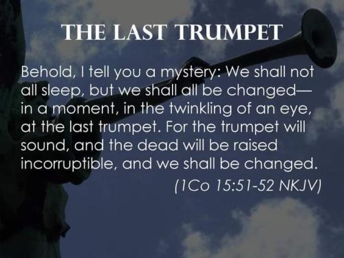 FB_IMG_1715602475960