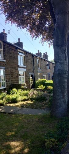 IMG_20240519_104341911_HDR