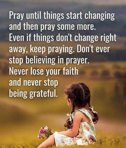 8702b575-3882-4623-891b-beac14f981d5