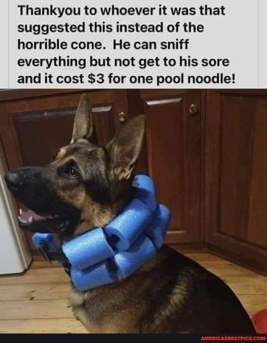 c311c3057624f6349dc18af454cf563be0e6da5a91f965a9423e8e651ce8518e_1