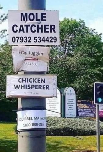 20240526_111751