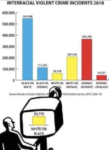 image_2024-05-28_091318517