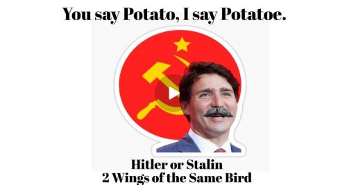 Trudeau Stalin Rumble screenshot