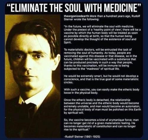soul damaging medicine steiner
