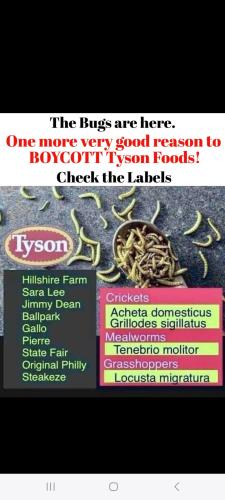 Screenshot_20240505_095917_Wimkin Free Speech Social Media