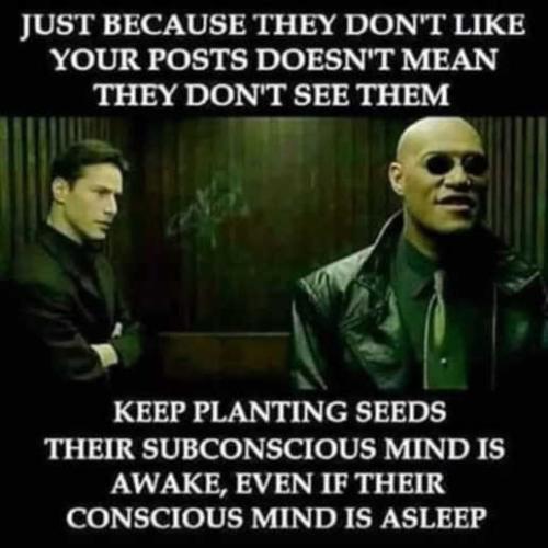 message-matrix-keep-planting-seeds-subconscious-posts