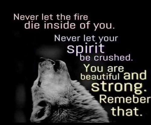 f52d3b860aaf7b269701574ed2b82a13