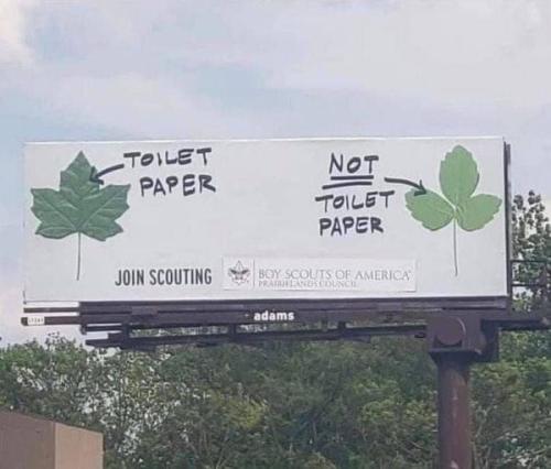 toilet paper