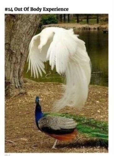 Screenshot_20240527-073402