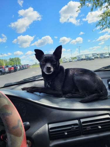 e6520fbd-e753-468f-a91b-5eb1f8fc79ca