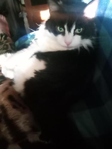 IMG_20240425_174441566