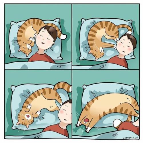 438173787_985719266890524_5066047691019155489_n