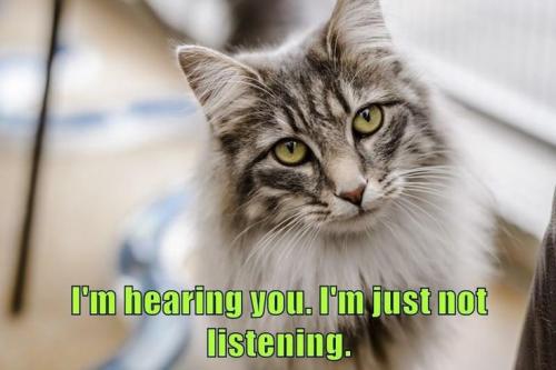 6b2bd8614ab2feb0693601846e798dec