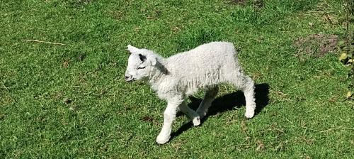 IMG_20240519_101135068