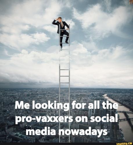 8fa872cd84dcf1547ed528c80bfe36e275fb3ce97087da29007cad0d44b01e01_1