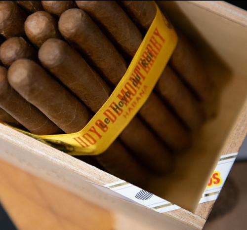 Screenshot_20240521-234510_My InstaPro