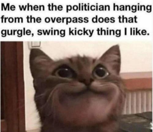 image_19F53ED7-7B42-4780-B2C1-8B339C87AD63