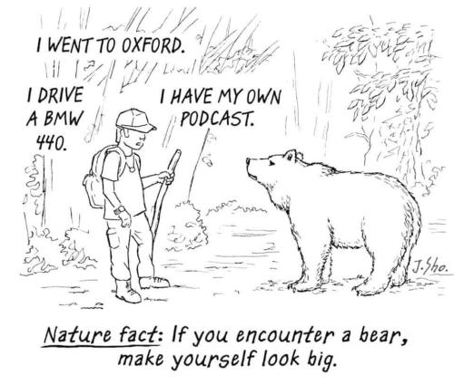 If you encounter a bear