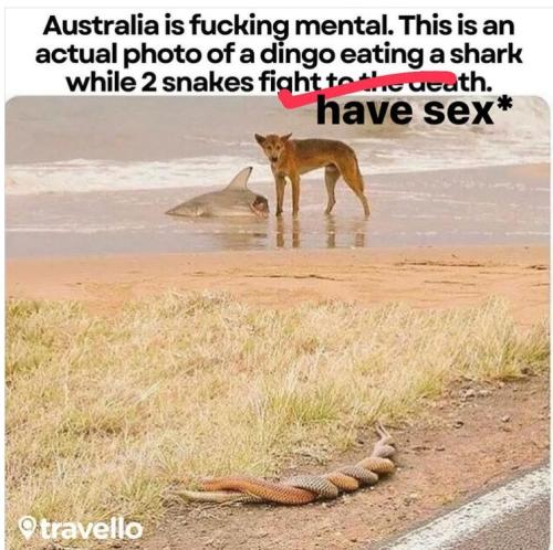 austrailia