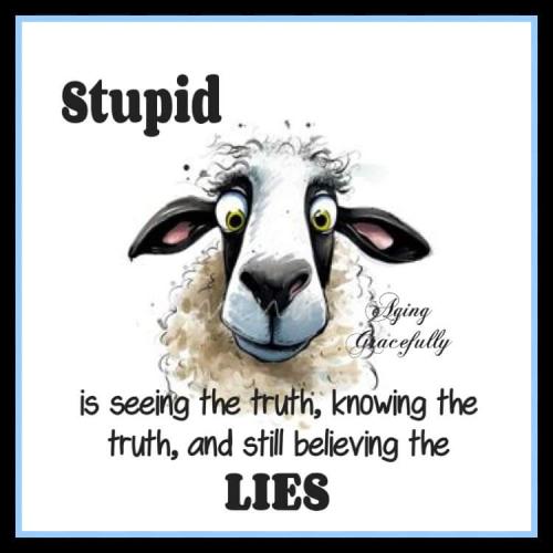 FB_IMG_1716215327585