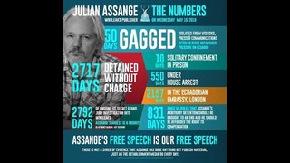 julian assange 3