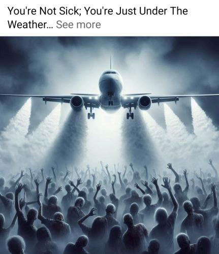 Screenshot_20240527_033347_Facebook