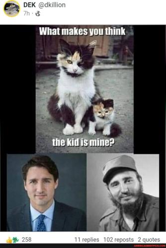 525543cdf551e0870bc4cb58cd91bd1e74c09f82ec40f579a53ecb532764259a_1