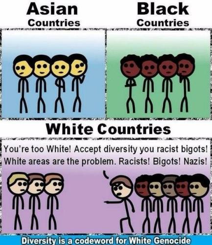 diversity