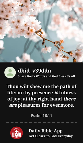 2024-05-031714720865818