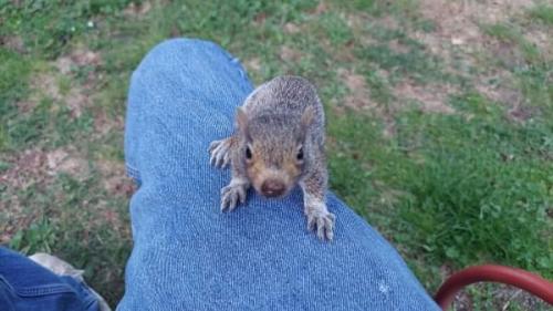 15:44:32 GMT-0500 (CDT)