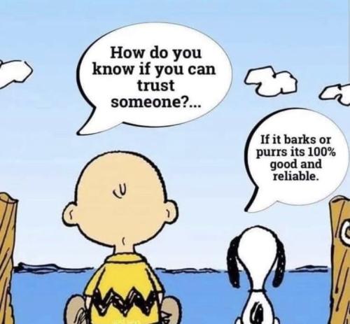 c9e1c7ea53d49b452f96477dc0f22ab9