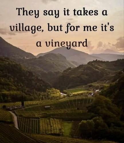 444136354_879064464237408_7624756673646077220_n