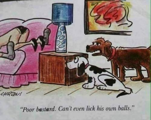 image_D6732956-AD7A-49DA-88C9-C0D11A1BE891