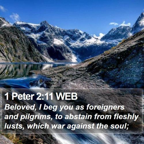 1 Peter 2_11