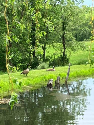 2F092F10-97FE-4C4C-BCF0-CB53C1924815