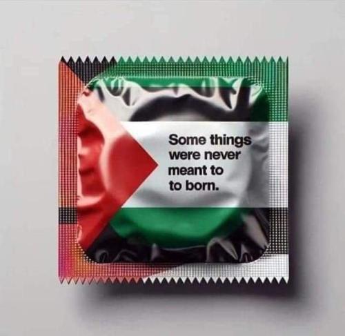 image_3326195D-AC4B-4C37-9911-5B0D7C03E802