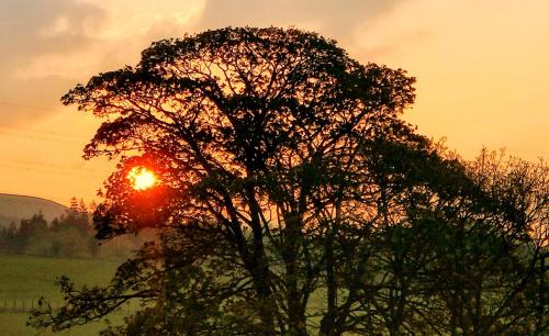 IMG20200426062453-01-01