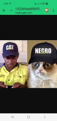 Screenshot_20240520-150646_Brave