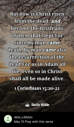 2024-05-151715760478559