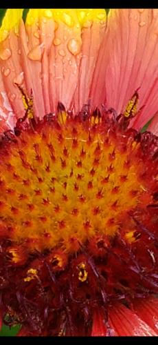 Screenshot_20240527_192622_Photos