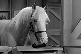 ,                GAkHyqHWIAACt_p